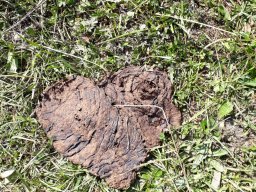 ferienpass_2018_31_20180925_1041926634